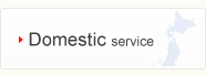 Domestic service